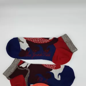 Chaussettes coton fantaisies Berthe aux Grands Pieds T35/38